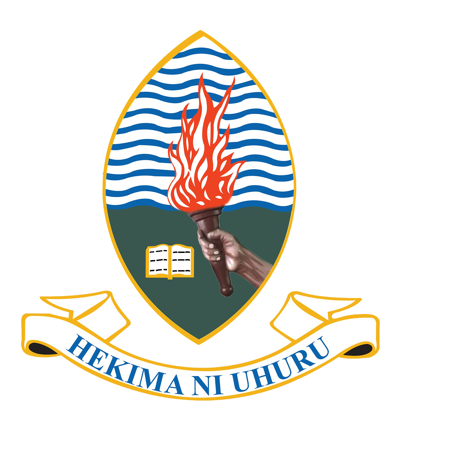 UDSM University