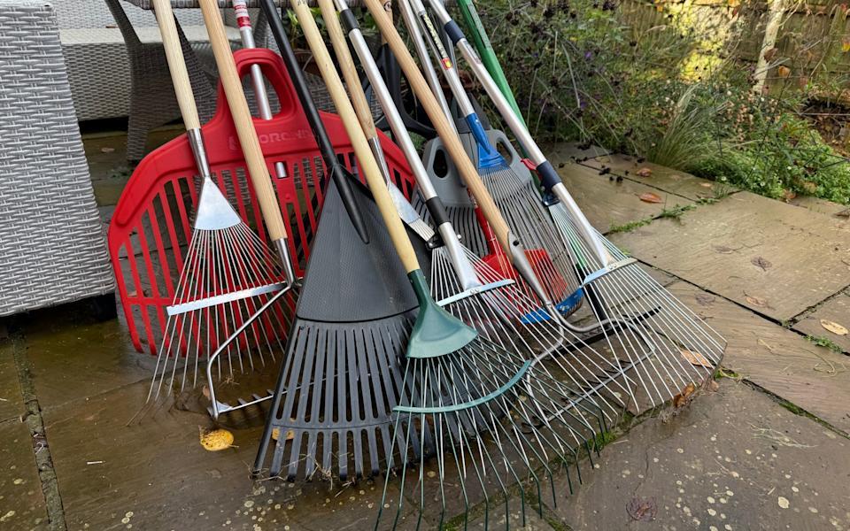 Garden Rake