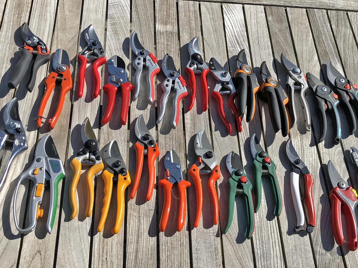 Garden Shears